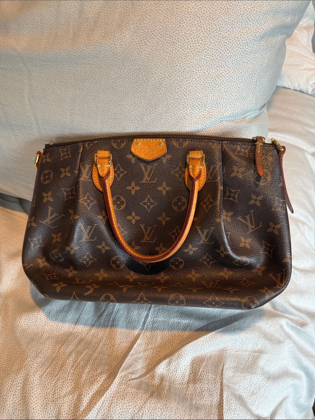 Louis Vuitton Turenne Pm Satchel